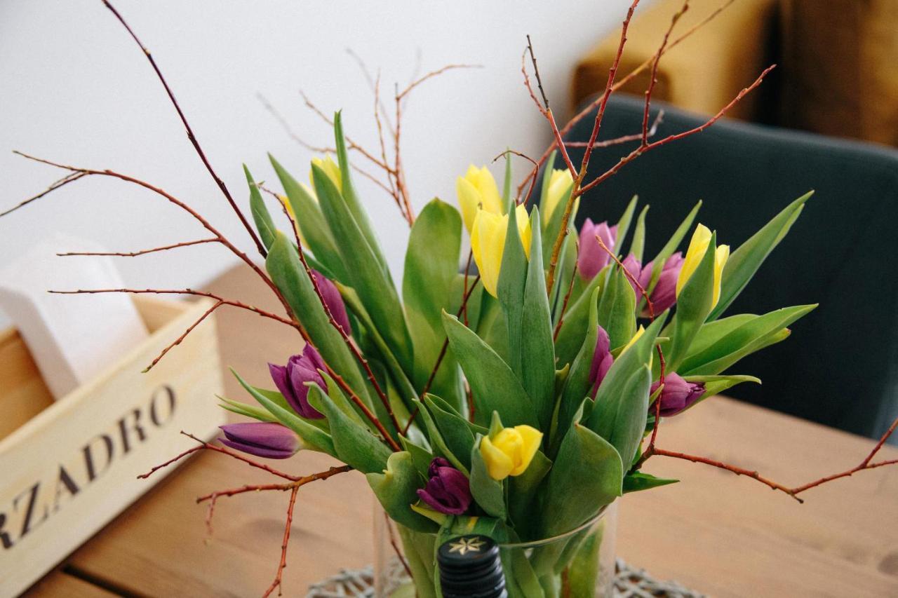 ליוטאש Forellenhof Appartements & Grossmutters Bungalow מראה חיצוני תמונה