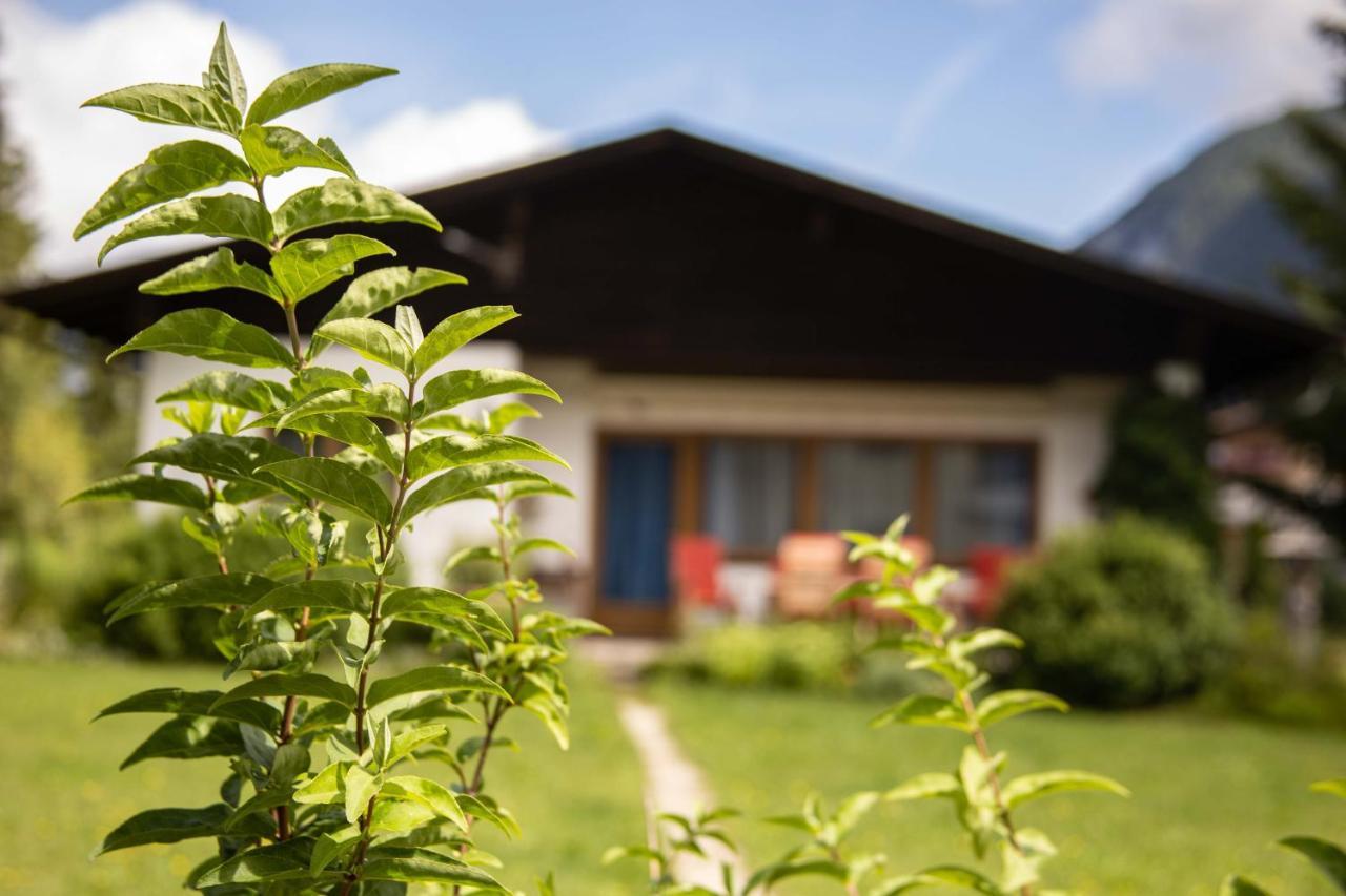 ליוטאש Forellenhof Appartements & Grossmutters Bungalow מראה חיצוני תמונה
